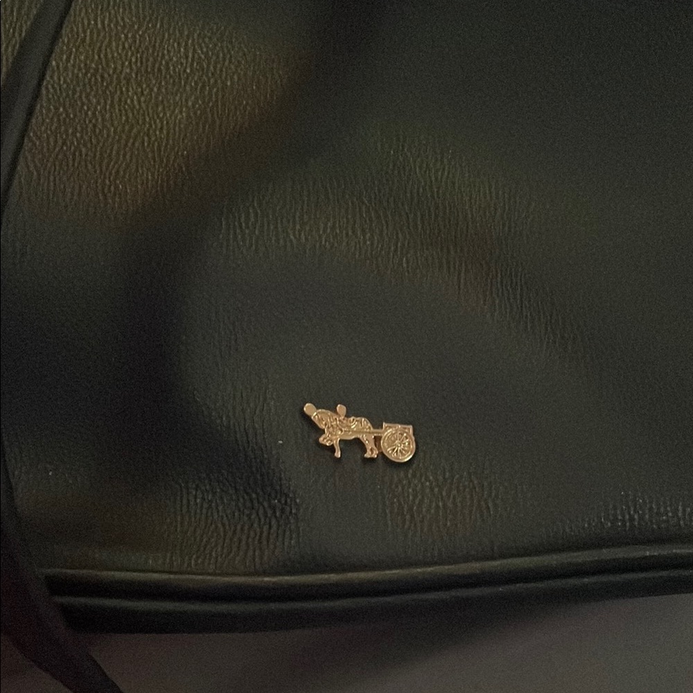 Black Leather Bag with Gold Logo